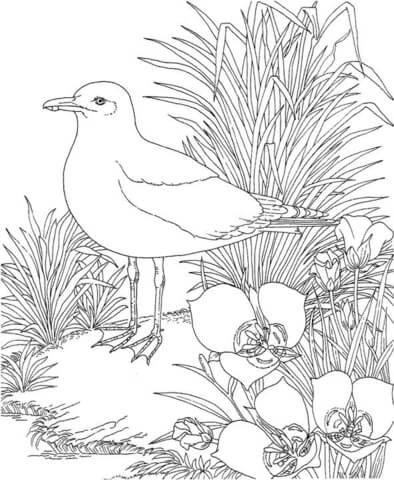 Seagull In The Garden Coloring Page